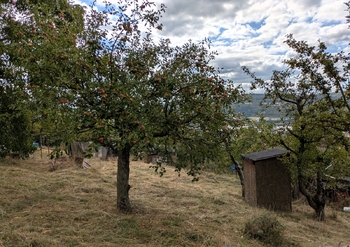 Prodej chaty / chalupy 25 m², Ústí nad Labem