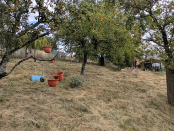 Prodej chaty / chalupy 25 m², Ústí nad Labem