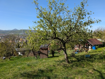 Prodej chaty / chalupy 25 m², Ústí nad Labem