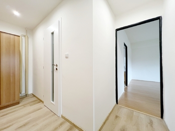 Pronájem bytu 2+1 v družstevním vlastnictví 45 m², Havířov