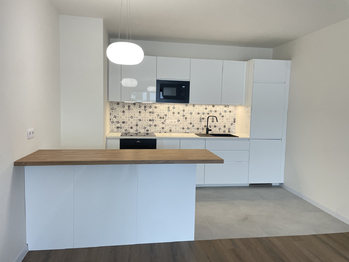 Pronájem bytu 1+kk v osobním vlastnictví 53 m², Praha 9 - Hostavice