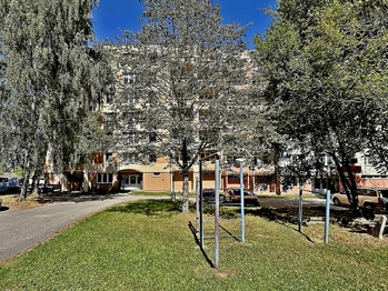 Prodej bytu 3+1 v družstevním vlastnictví 74 m², Borovany