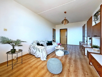 Prodej bytu 3+1 v družstevním vlastnictví 74 m², Borovany