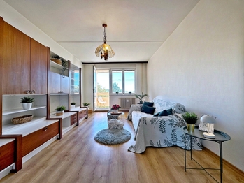 Prodej bytu 3+1 v družstevním vlastnictví 74 m², Borovany