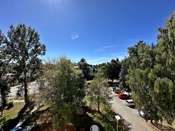 Prodej bytu 3+1 v družstevním vlastnictví 74 m², Borovany