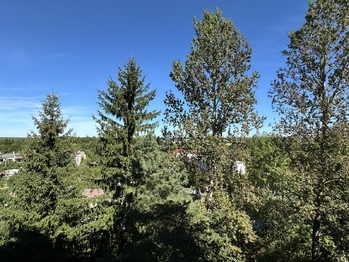 Prodej bytu 3+1 v družstevním vlastnictví 74 m², Borovany