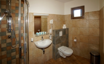 Prodej ubytovacího zařízení 1630 m², Hostinné