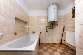 Prodej zemědělského objektu 160 m², Všechlapy