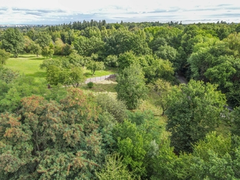 Prodej pozemku 4951 m², Průhonice