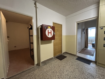Pohled z chodby - Prodej bytu 1+1 v osobním vlastnictví 44 m², Třebíč