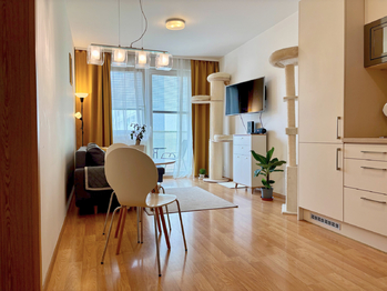 Pronájem bytu 2+kk v osobním vlastnictví 53 m², Praha 9 - Libeň