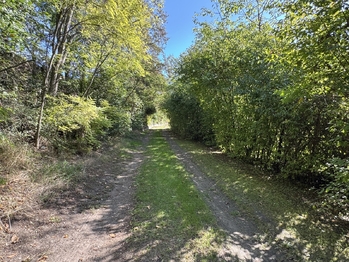 Prodej pozemku 2244 m², Třebenice