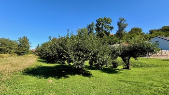 Prodej domu 77 m², Jemnice