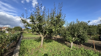 Prodej pozemku 480 m², Břeclav