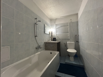 Koupelna - Prodej chaty / chalupy 53 m², Netřebice