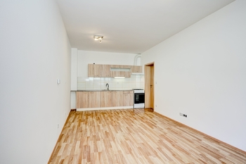 Prodej bytu 1+kk v osobním vlastnictví 40 m², Moravany