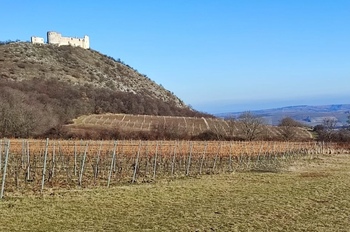 pohled na Děvičky - Prodej chaty / chalupy 95 m², Milovice