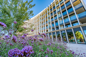 Pronájem bytu 2+kk v osobním vlastnictví 62 m², Praha 6 - Bubeneč