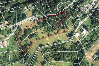 Prodej pozemku 12667 m², Líšný