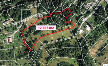 Prodej pozemku 12667 m², Líšný