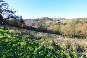 Prodej pozemku 12667 m², Líšný