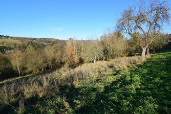 Prodej pozemku 12667 m², Líšný