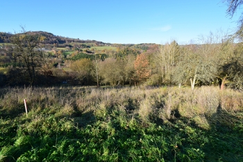 Prodej pozemku 12667 m², Líšný