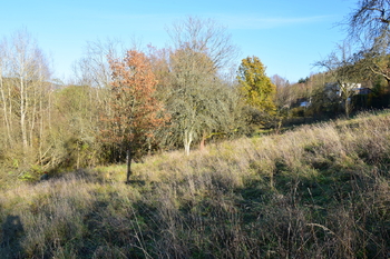 Prodej pozemku 12667 m², Líšný