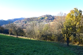 Prodej pozemku 12667 m², Líšný