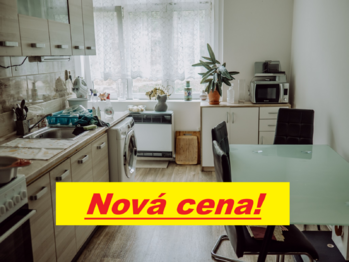 Prodej bytu 1+1 v osobním vlastnictví 48 m², Děčín