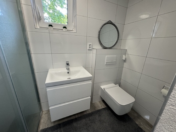 Koupelna - Prodej chaty / chalupy 37 m², Měrunice