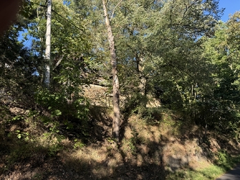 Prodej zemědělského objektu 70 m², Místo