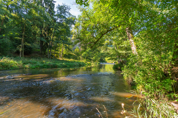 Prodej chaty / chalupy 46 m², Černošín