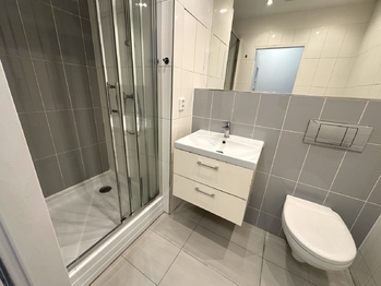 Prodej bytu 2+kk v osobním vlastnictví 58 m², Plzeň