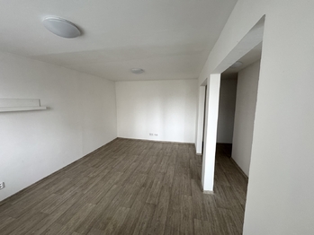 obývací pokoj - Prodej bytu 2+kk v osobním vlastnictví 58 m², Plzeň