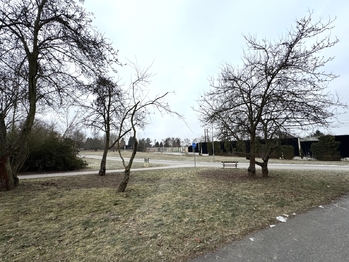 park vedle domu - Prodej bytu 2+kk v osobním vlastnictví 58 m², Plzeň