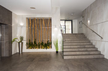recepce - Pronájem bytu 2+kk v osobním vlastnictví 66 m², Praha 3 - Žižkov