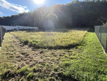 Prodej pozemku 1322 m², Březnice