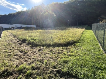 Prodej pozemku 1322 m², Březnice