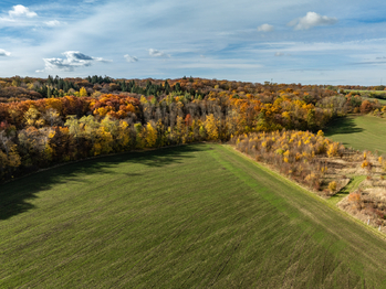 Bořanovický les - Prodej domu 177 m², Bořanovice