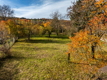 Zahrada - Prodej domu 177 m², Bořanovice