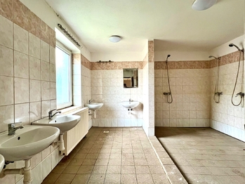 hala D2 umývárny - Pronájem skladovacích prostor 6500 m², Horní Jiřetín