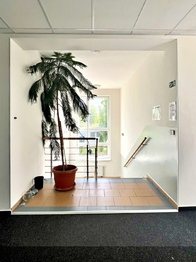 Pronájem kancelářských prostor 1400 m², Horní Jiřetín