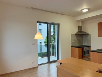 Pronájem bytu 2+kk v osobním vlastnictví 55 m², Plzeň