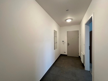 Pronájem bytu 2+kk v osobním vlastnictví 55 m², Plzeň