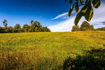 Prodej pozemku 4336 m², Frymburk