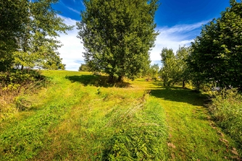 Prodej pozemku 4336 m², Frymburk