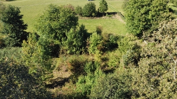 Prodej pozemku 1198 m², Červená Řečice