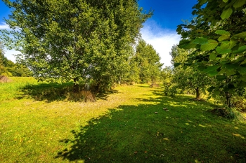 Prodej pozemku 1374 m², Frymburk