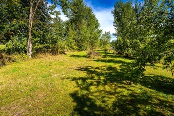 Prodej pozemku 1374 m², Frymburk
